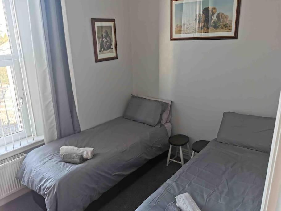 Number 7 Torquay Stunning Sea Views Apartment Ngoại thất bức ảnh
